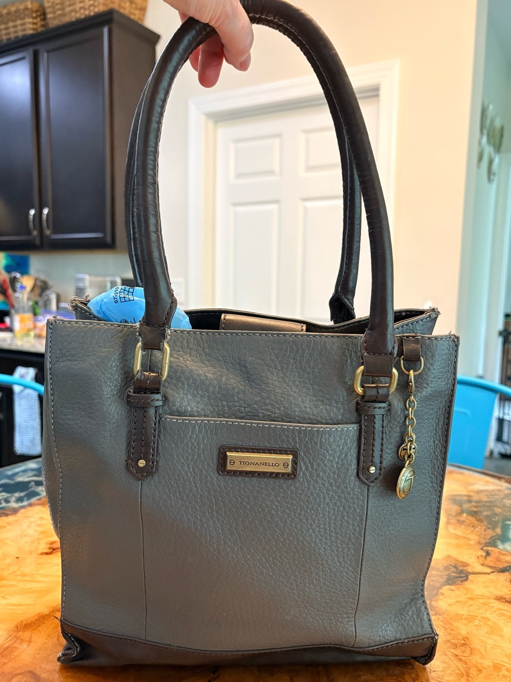 Tignanello Gray and Brown Leather Tote Bag